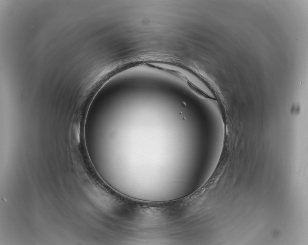 X0000091000062200708091549