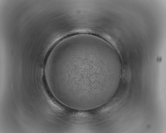 X0000091000063200708091549