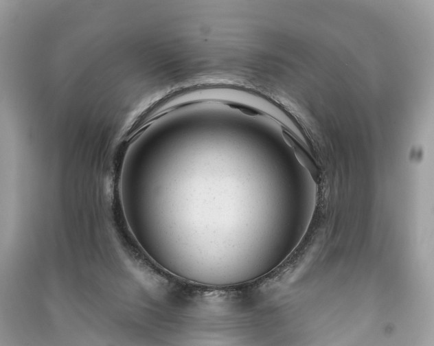 X0000091000064200708091549
