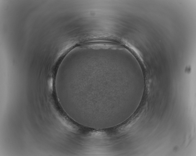 X0000091000067200708091549