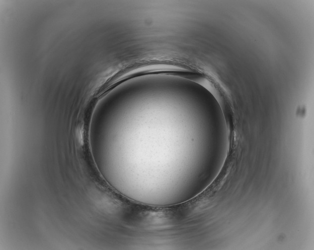 X0000091000068200708091549