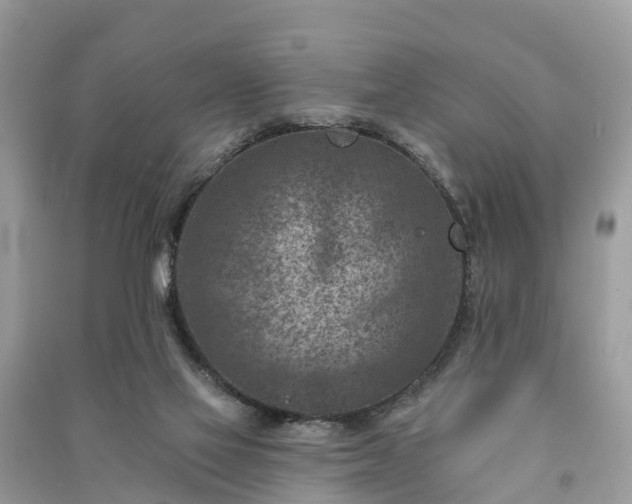 X0000091000069200708091549