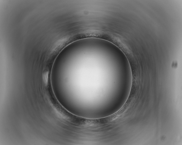 X0000091000070200708091549