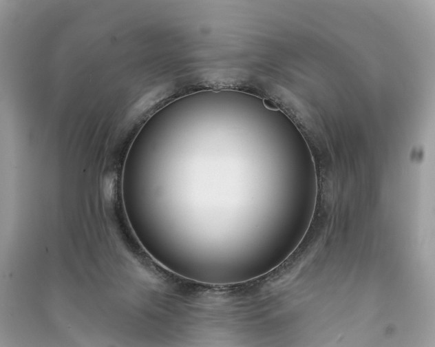 X0000091000071200708091549