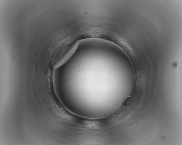 X0000091000073200708091549