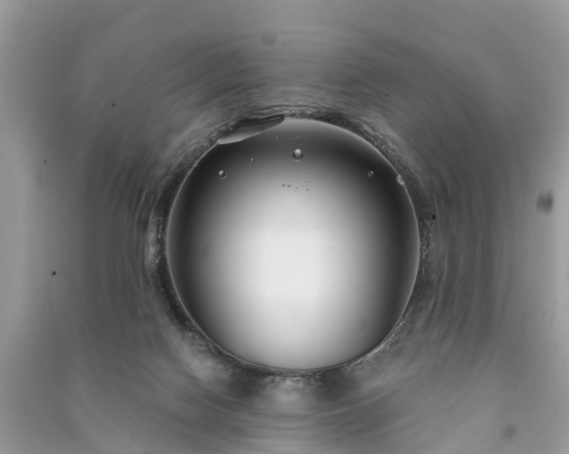 X0000091000074200708091549