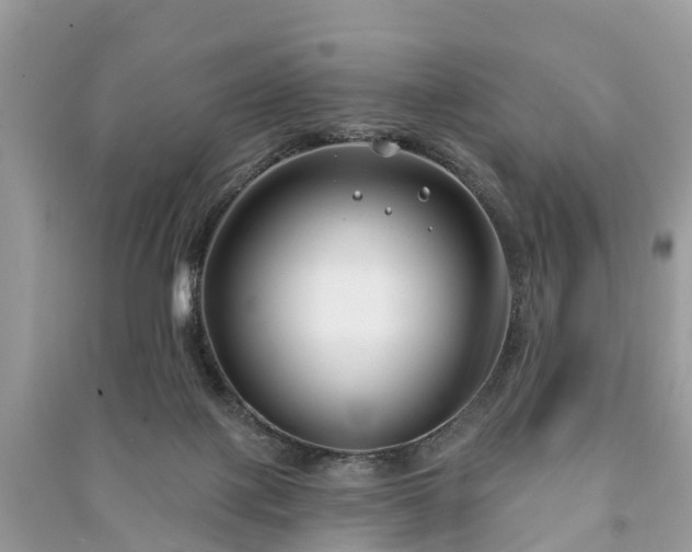 X0000091000075200708091549