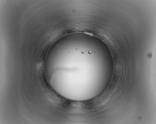 X0000091000079200708091549
