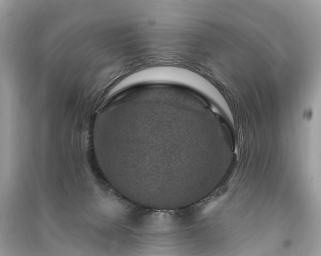 X0000091000080200708091549