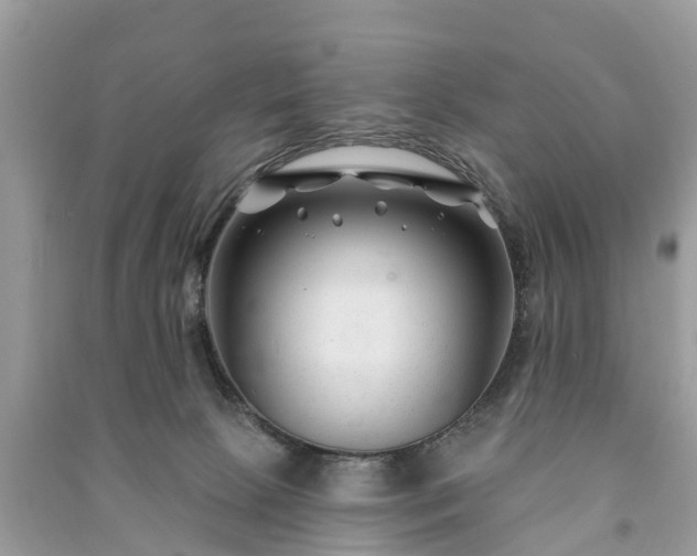 X0000091000081200708091549
