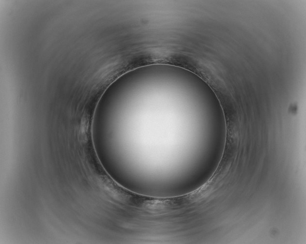 X0000091000082200708091549