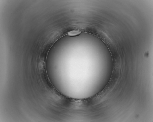 X0000091000083200708091549