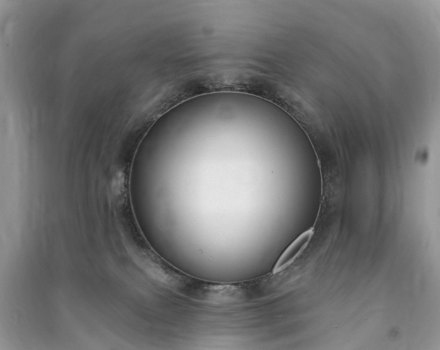 X0000091000087200708091549