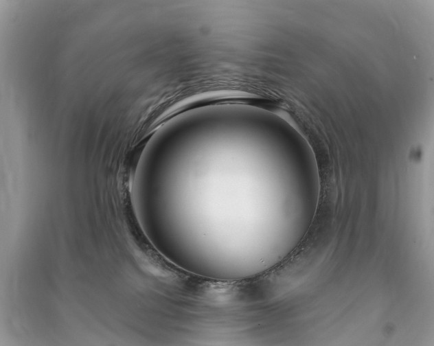 X0000091000088200708091549
