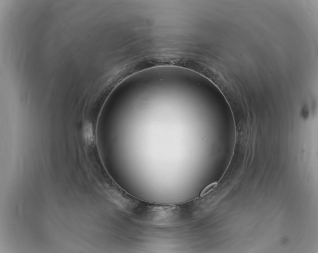 X0000091000089200708091549