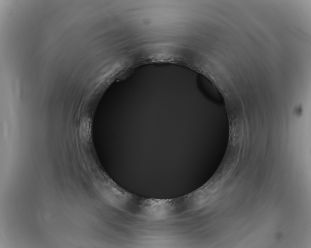 X0000091000093200708091549
