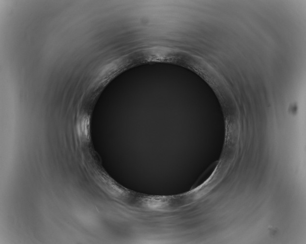 X0000091000094200708091549