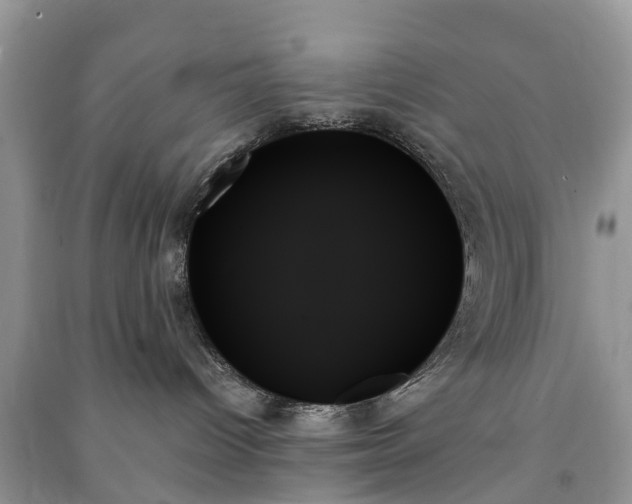X0000091000096200708091549