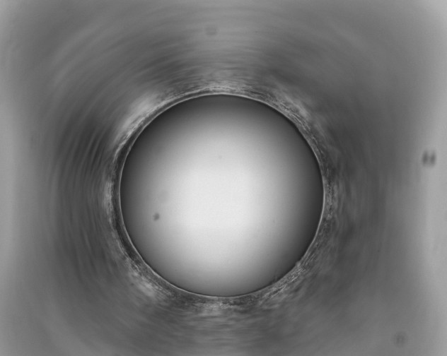X0000091000098200708091549