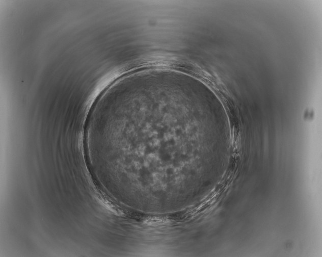 X0000091000099200708091549