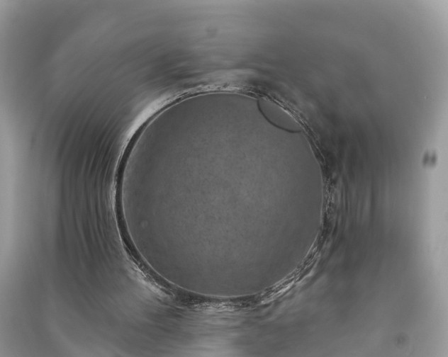 X0000091000100200708091548