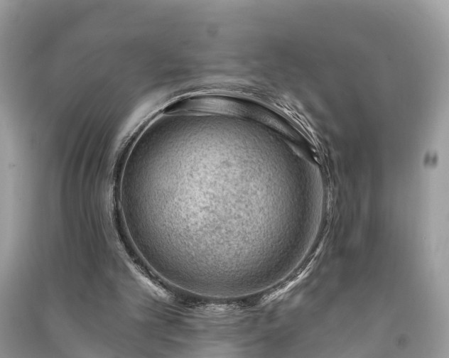 X0000091000101200708091548