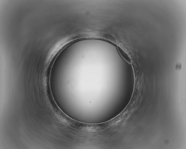 X0000091000103200708091548