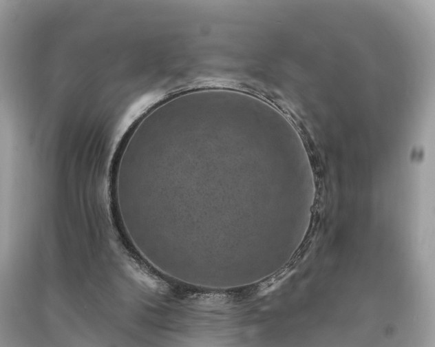 X0000091000104200708091548