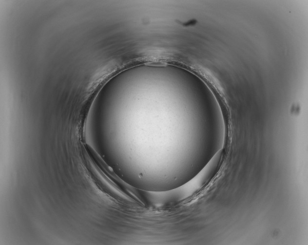 X0000091000105200708091548