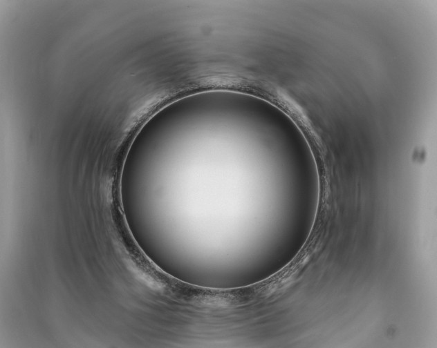 X0000091000106200708091548