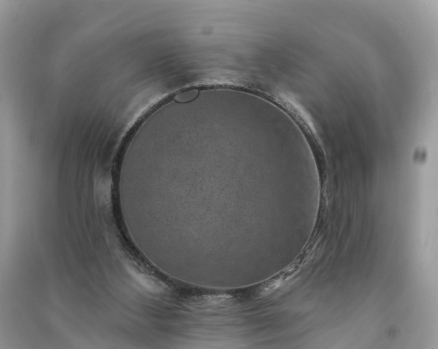 X0000091000108200708091548