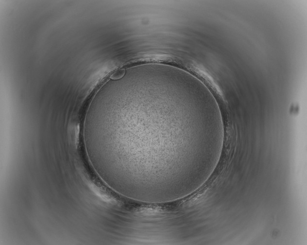 X0000091000110200708091548