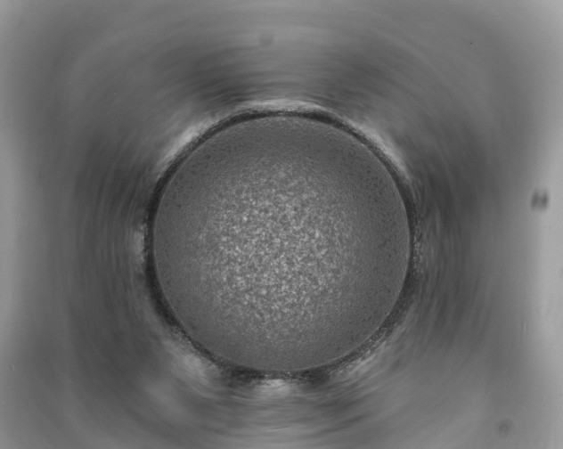 X0000091000111200708091548