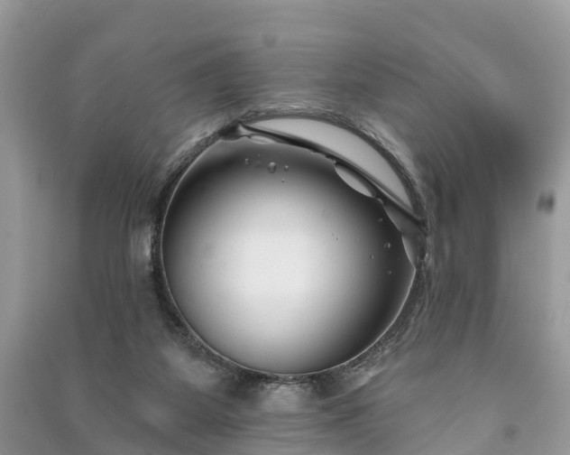 X0000091000115200708091548