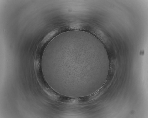 X0000091000116200708091548
