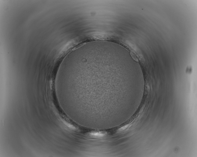 X0000091000117200708091548