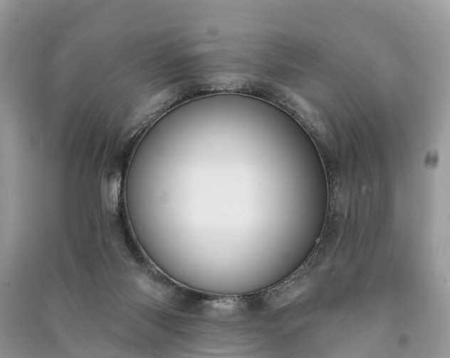 X0000091000118200708091548