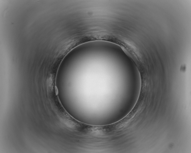 X0000091000121200708091548