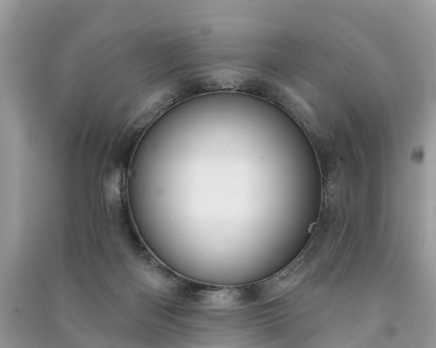 X0000091000122200708091548