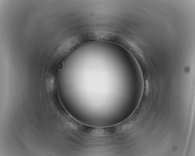 X0000091000123200708091548