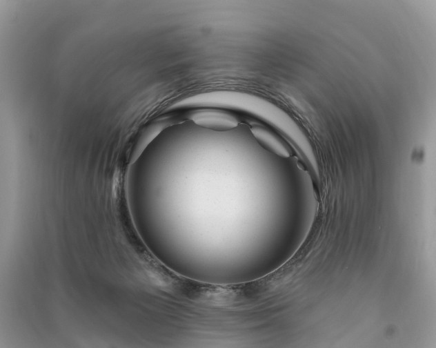 X0000091000125200708091548