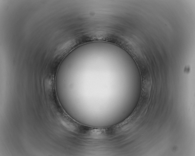 X0000091000126200708091548
