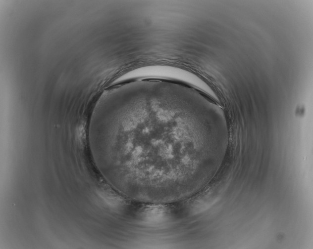 X0000091000127200708091548