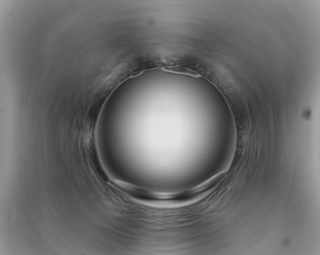 X0000091000129200708091548