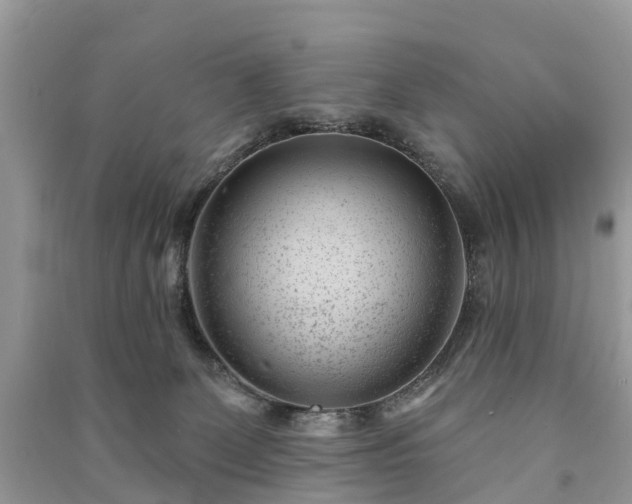 X0000091000131200708091548