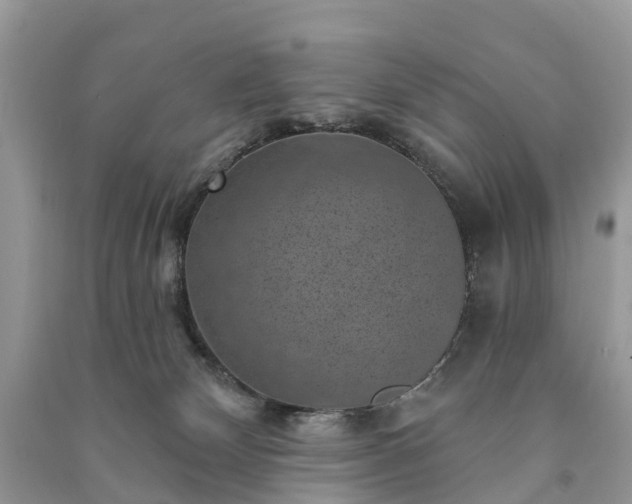 X0000091000132200708091548