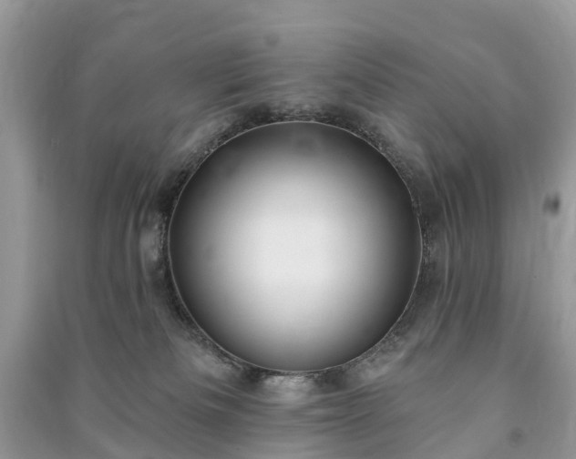 X0000091000133200708091548
