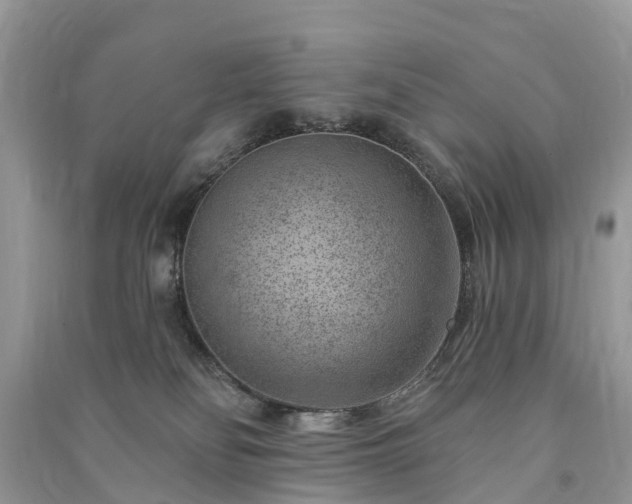 X0000091000134200708091548