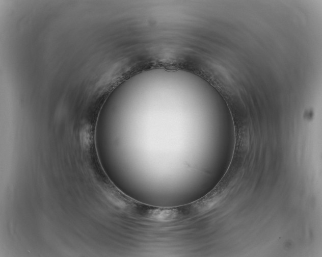 X0000091000135200708091548