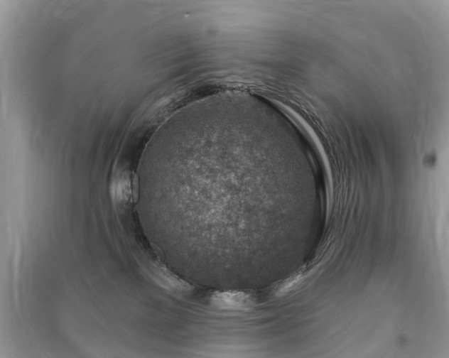 X0000091000137200708091548